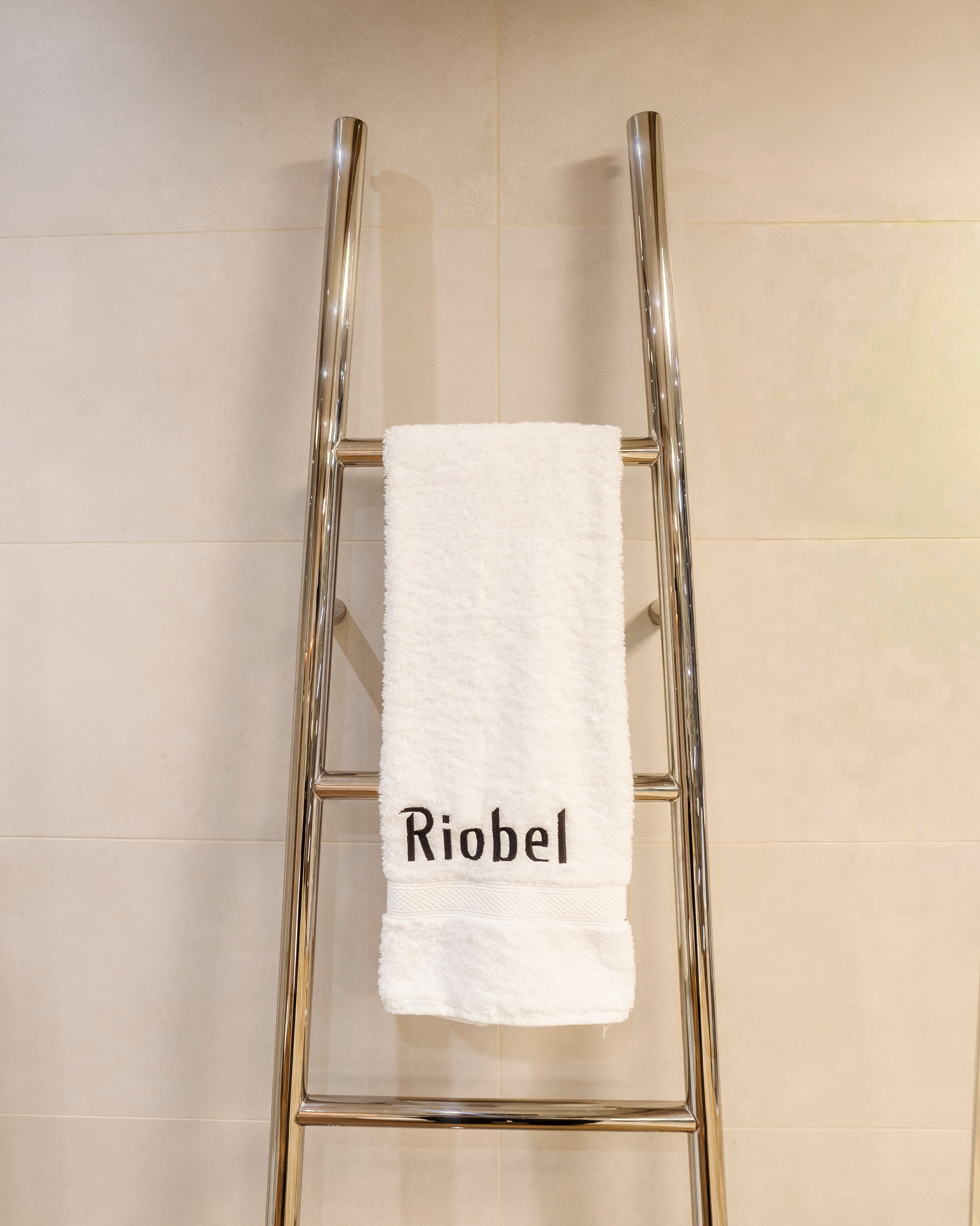 Chrome ladder rail towel