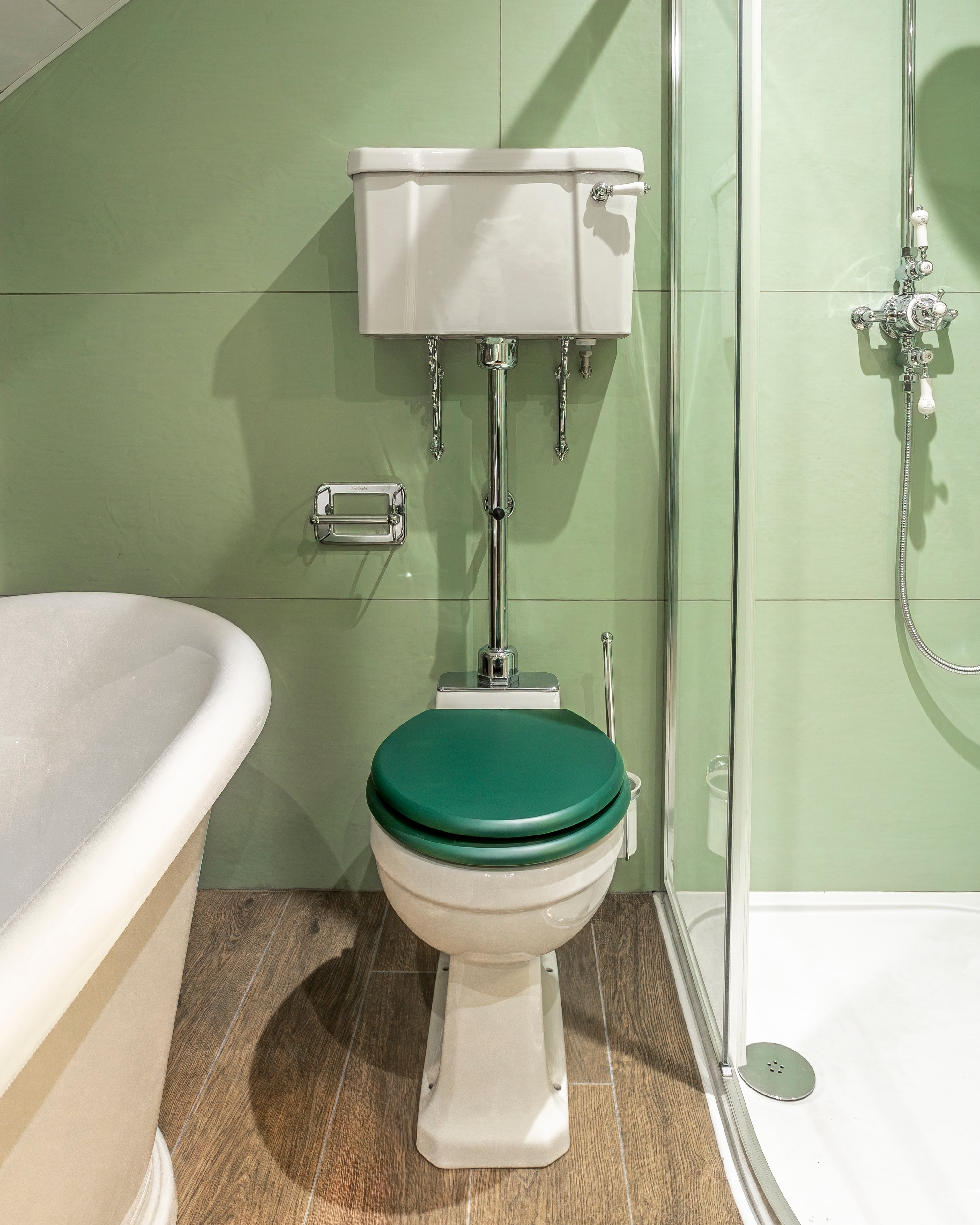 Sage green vintage toilet